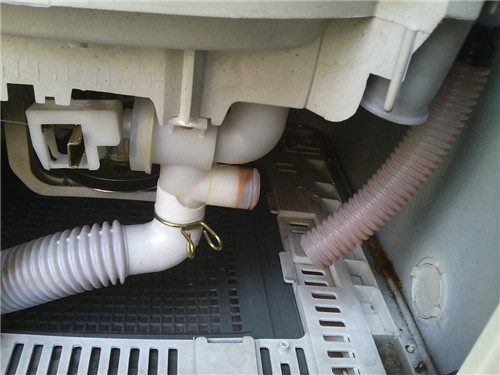 �B�T�S������ϴ�C�S�ރr��_���I(y��)����