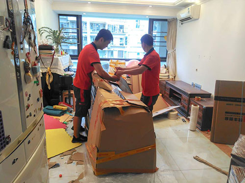 �����O�ȌW��������]_���a�˃r