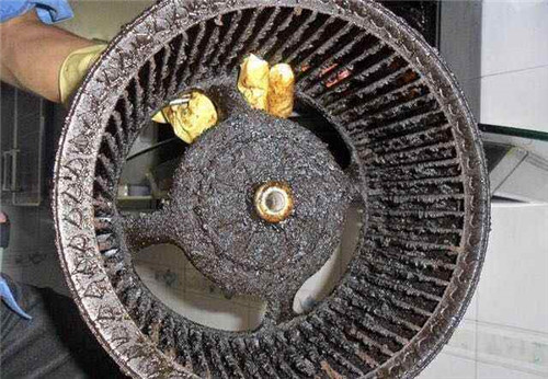 ��ɽ����Ƶ��͟��C��ϴ�r��_24С�r����