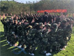 上海公司素質拓展方案 上海公司野外拓