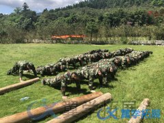 泉州公司拓展活動_泉州拓展活動公司