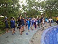 泉州哪里報名游泳夏令營?