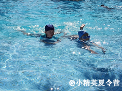 泉州暑期游泳夏令營(yíng)報(bào)名點(diǎn)