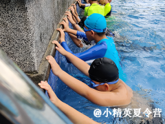 龍巖要去哪參加夏令營活動?